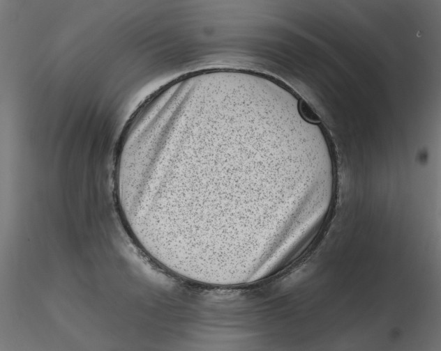 X0000116600846200912312055