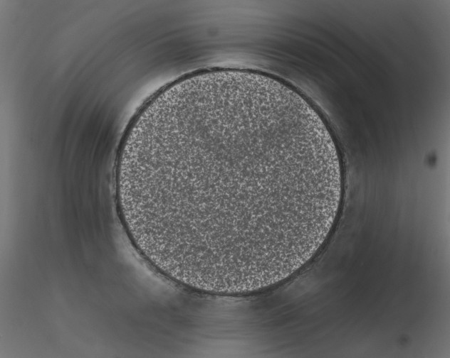 X0000116600848200912312055