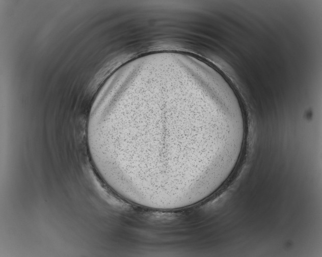 X0000116600849200912312055