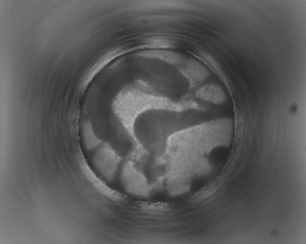 X0000116600851200912312055