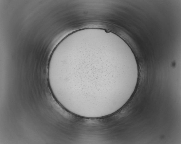 X0000116600852200912312055