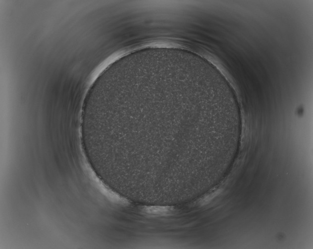 X0000116600853200912312055