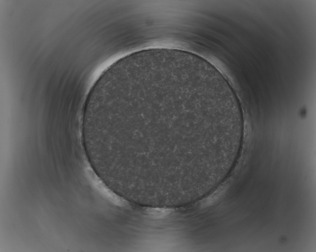 X0000116600854200912312055