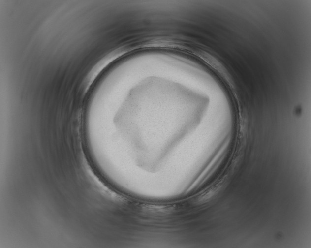 X0000116600855200912312055