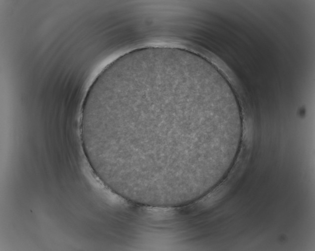 X0000116600856200912312055