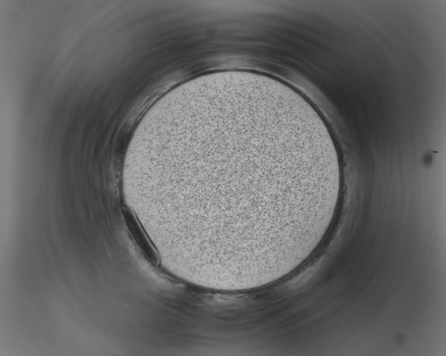 X0000116600857200912312055