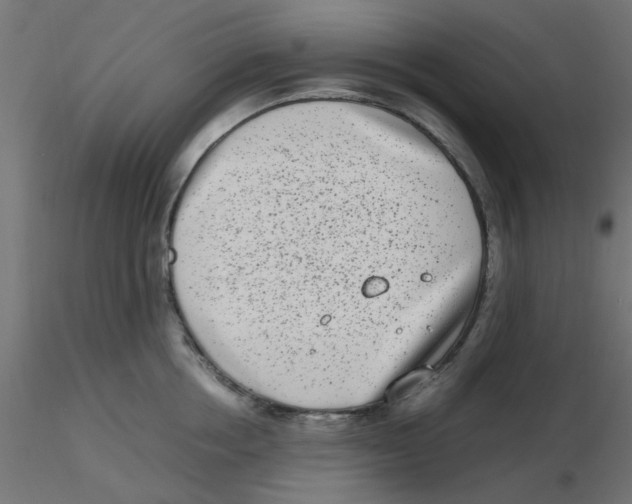 X0000116600858200912312055