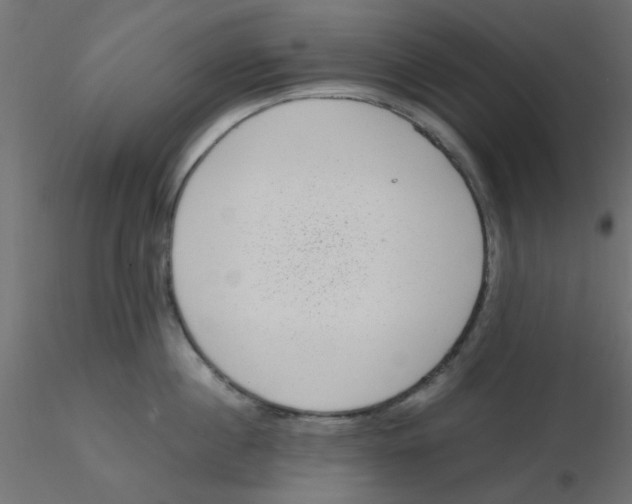 X0000116600860200912312055