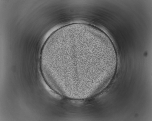 X0000116600861200912312055