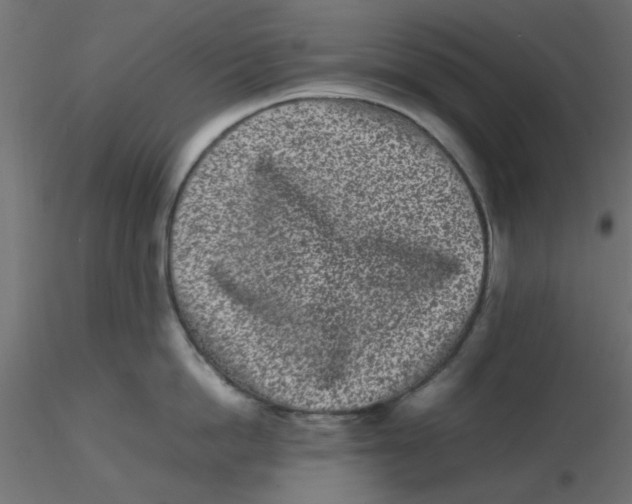 X0000116600862200912312055