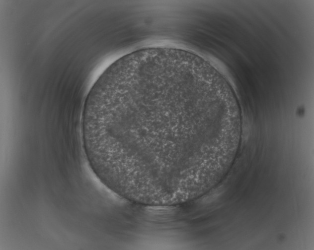 X0000116600863200912312055