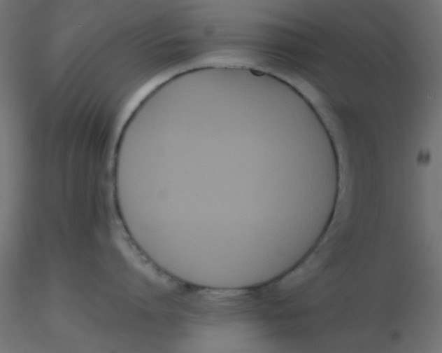 X0000116600864200912312055