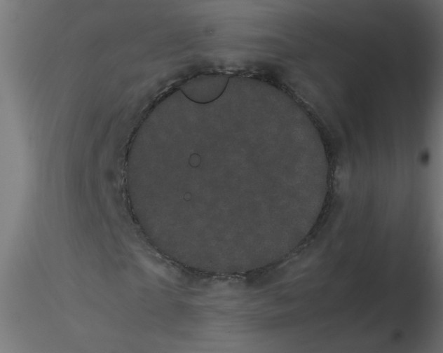 X0000116600865200912312055