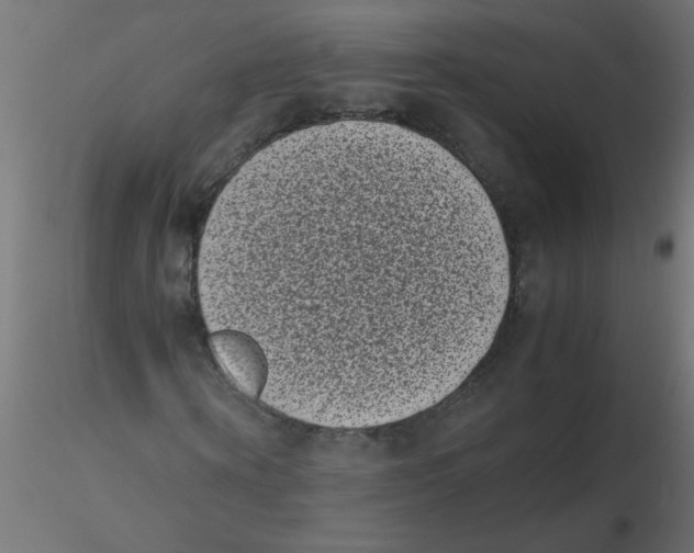 X0000116600866200912312055