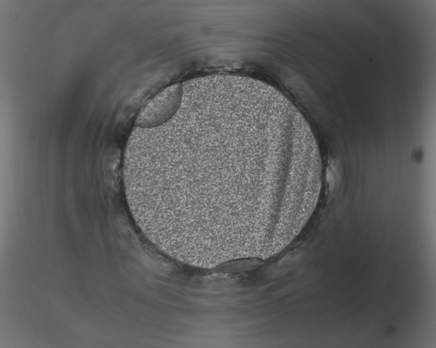 X0000116600867200912312055