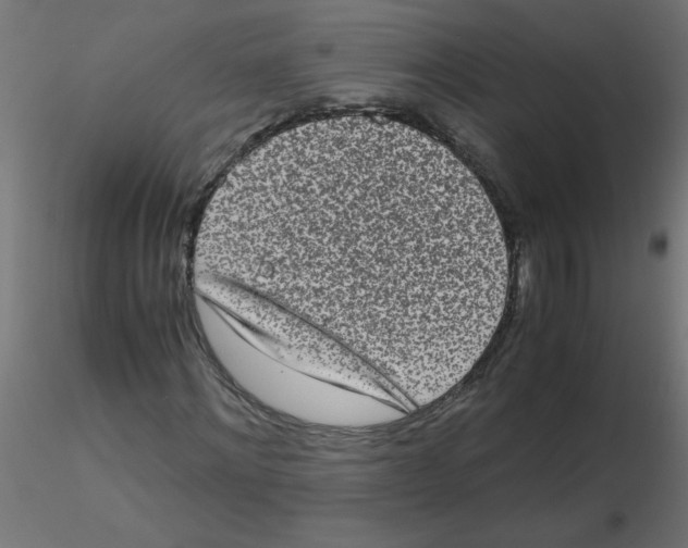 X0000116600868200912312055