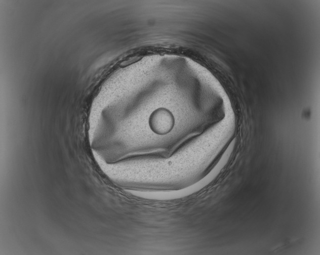 X0000116600869200912312055