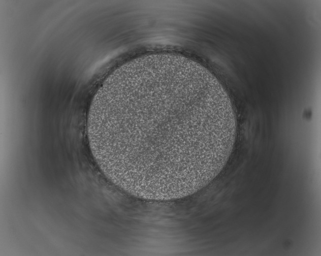 X0000116600870200912312055