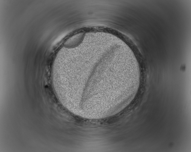 X0000116600871200912312055