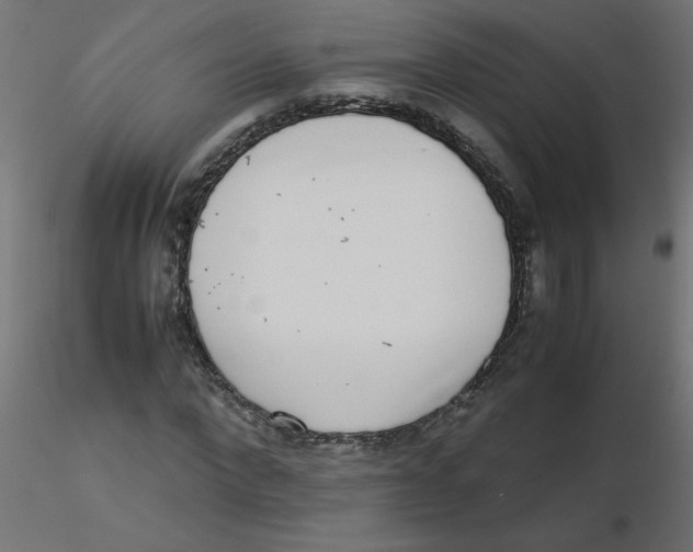 X0000116600872200912312055