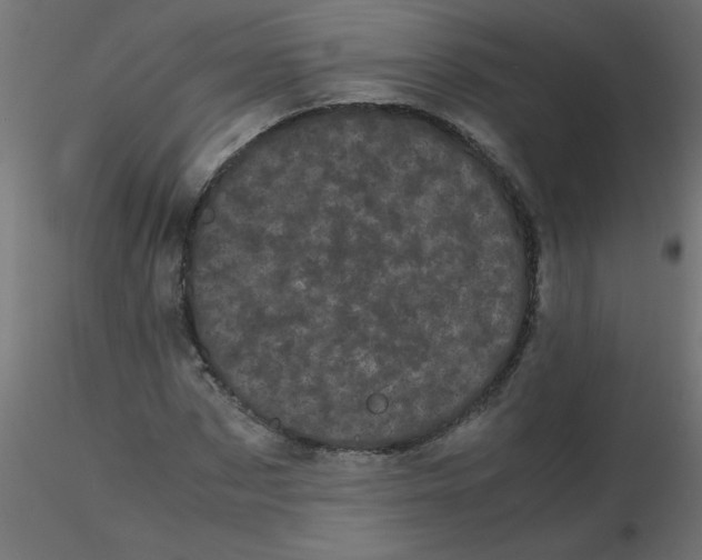 X0000116600873200912312055