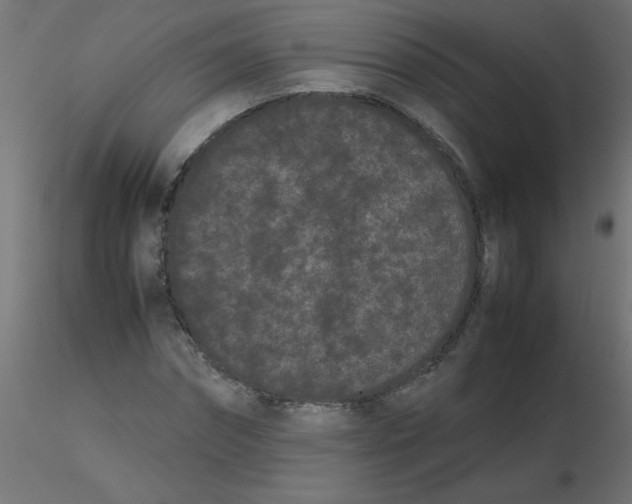 X0000116600874200912312055