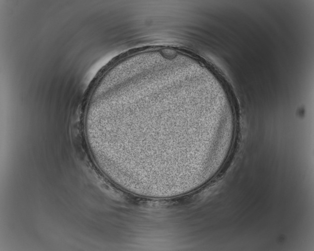 X0000116600875200912312055