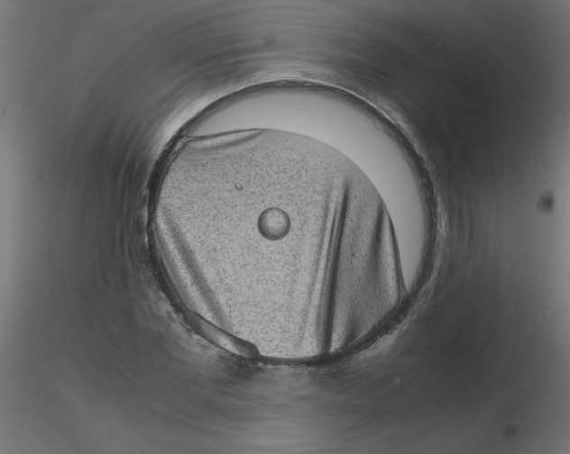 X0000116600877200912312055