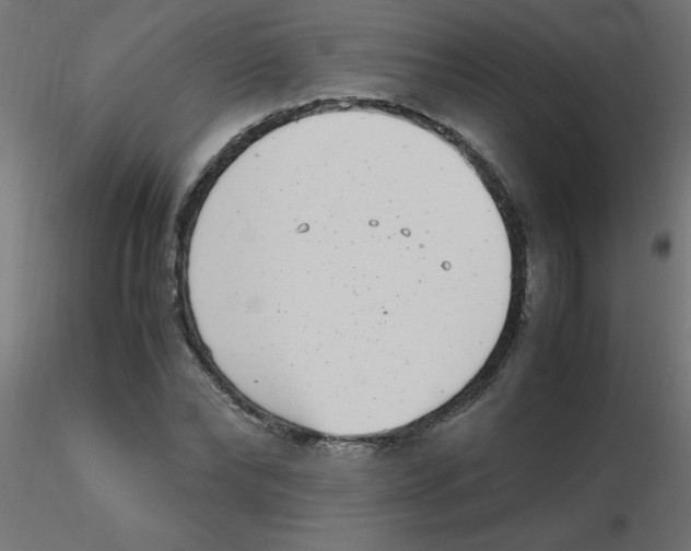 X0000116600878200912312055