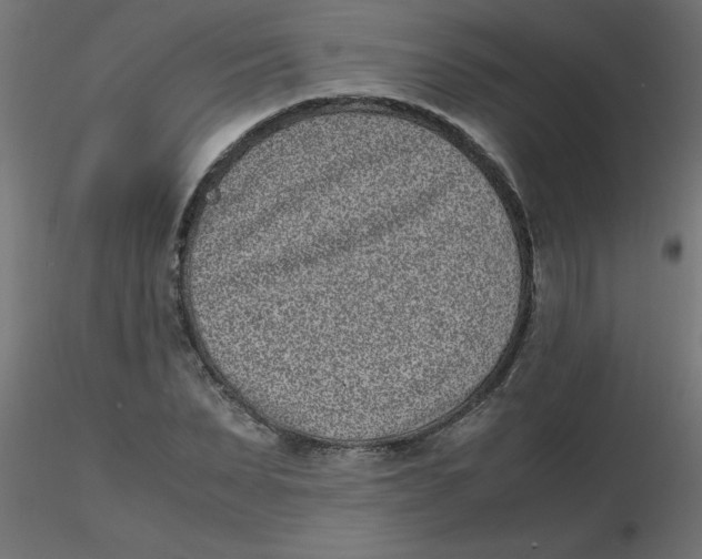 X0000116600879200912312055