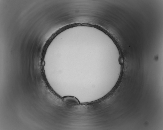 X0000116600880200912312055