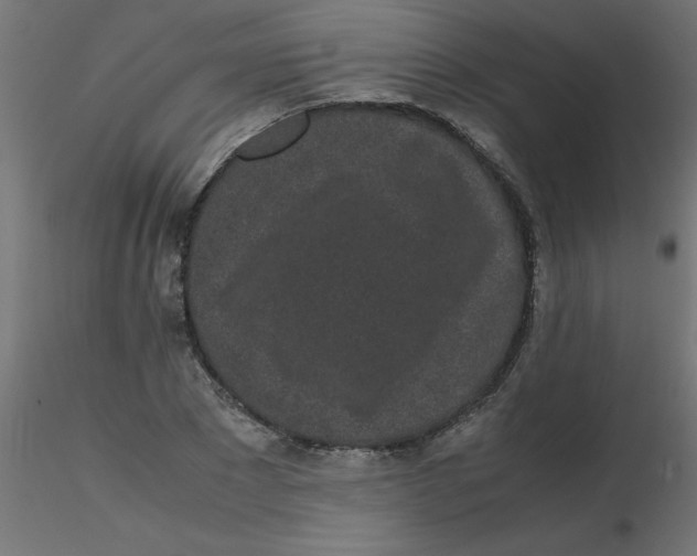 X0000116600881200912312055