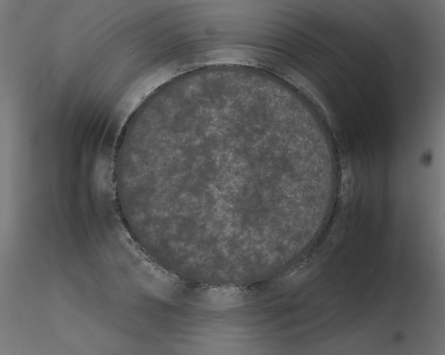 X0000116600882200912312055