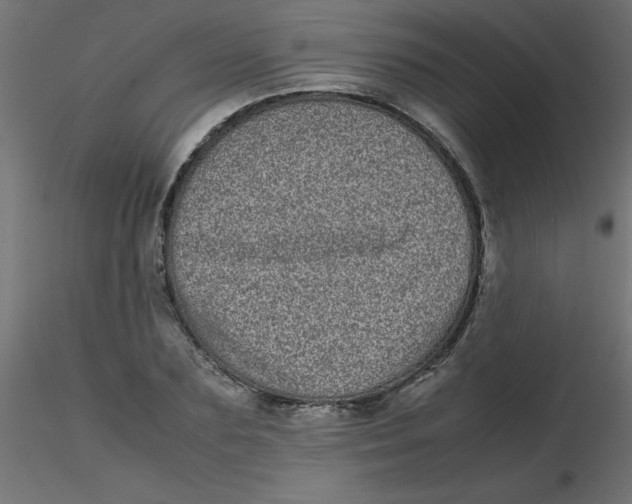 X0000116600883200912312055