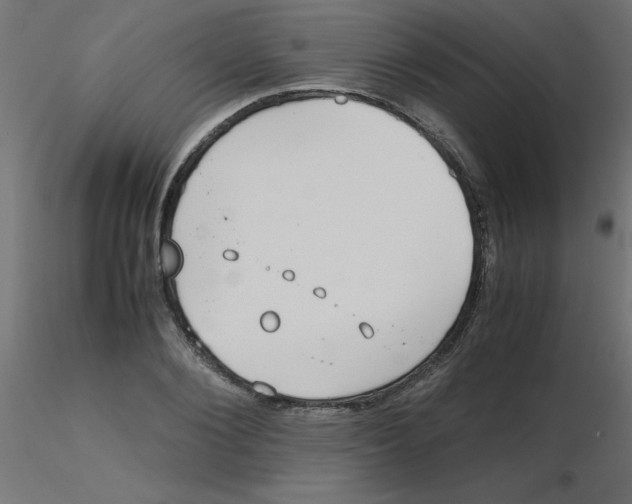 X0000116600884200912312055