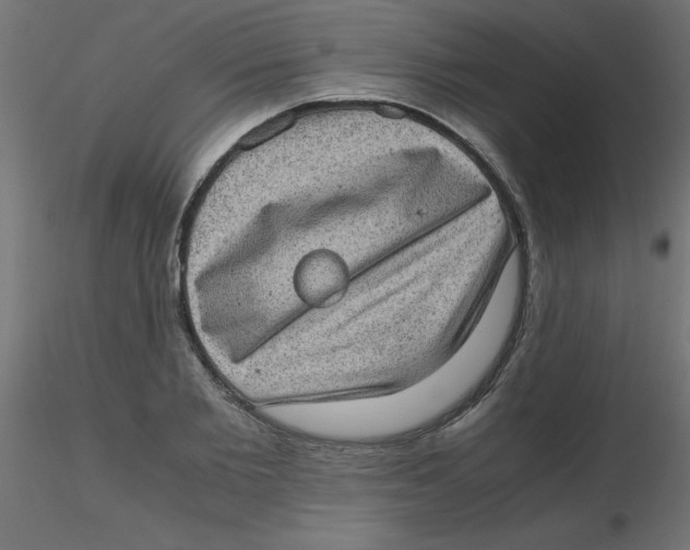 X0000116600885200912312055