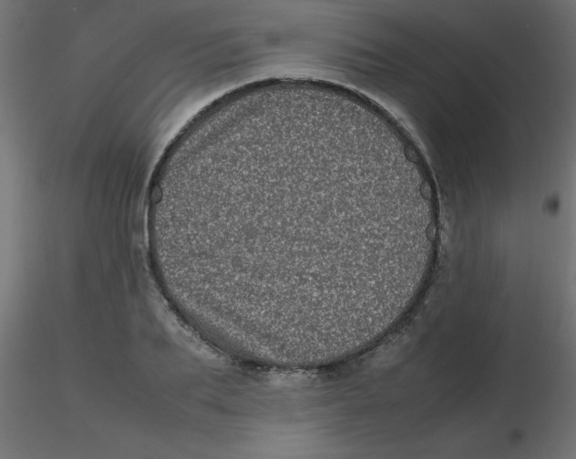 X0000116600887200912312054