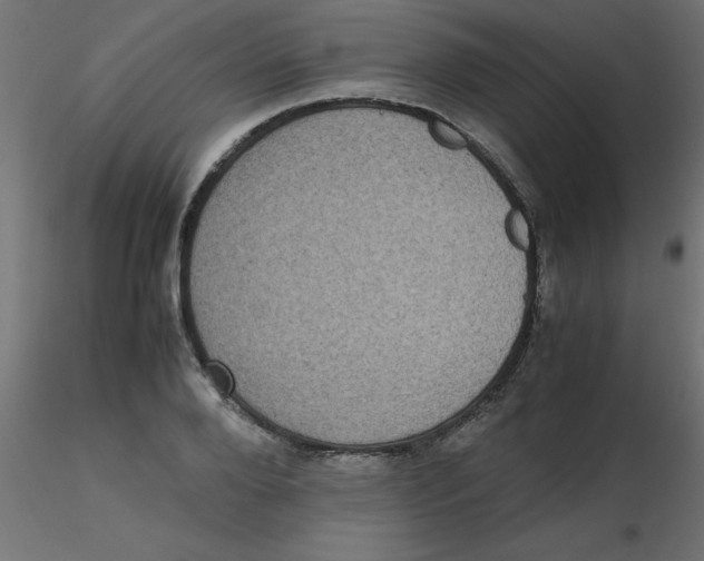 X0000116600888200912312054