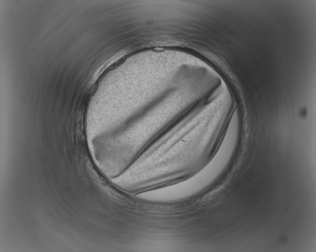 X0000116600889200912312054