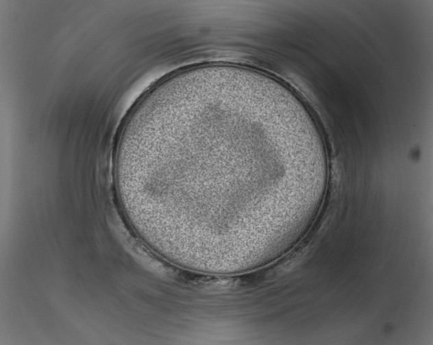 X0000116600891200912312054