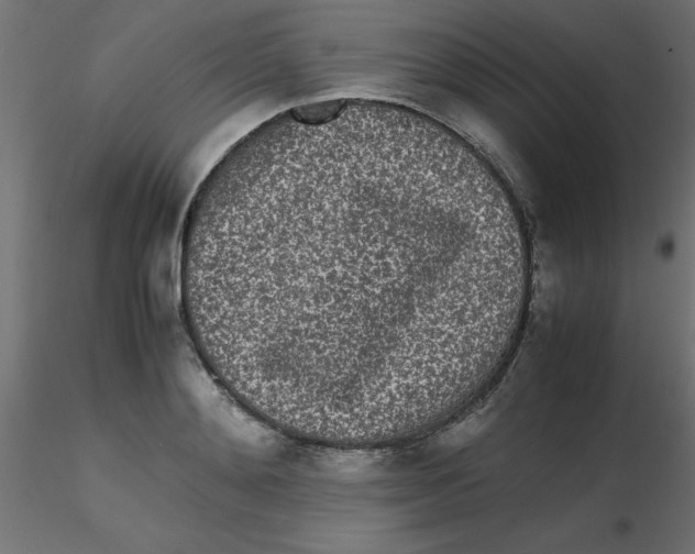 X0000116600892200912312054