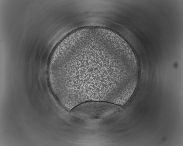 X0000116600893200912312054