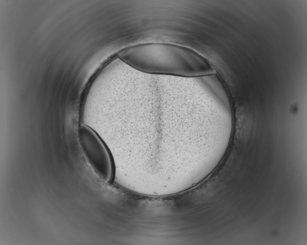 X0000116600896200912312054