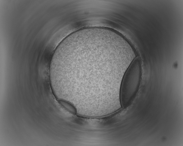 X0000116600897200912312054