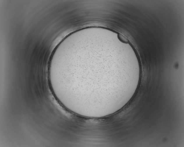 X0000116600898200912312054