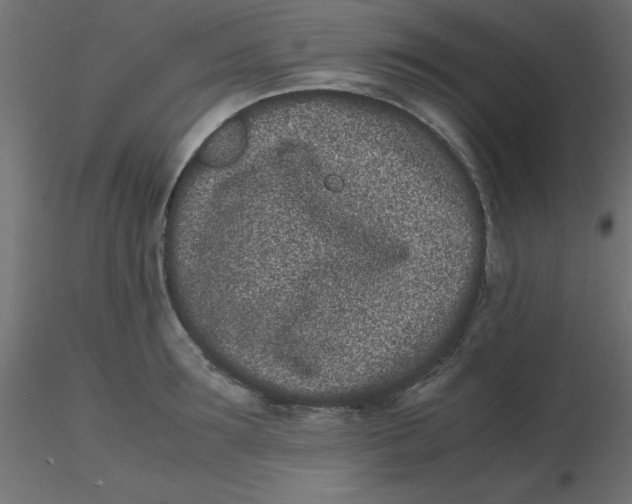 X0000116600899200912312054