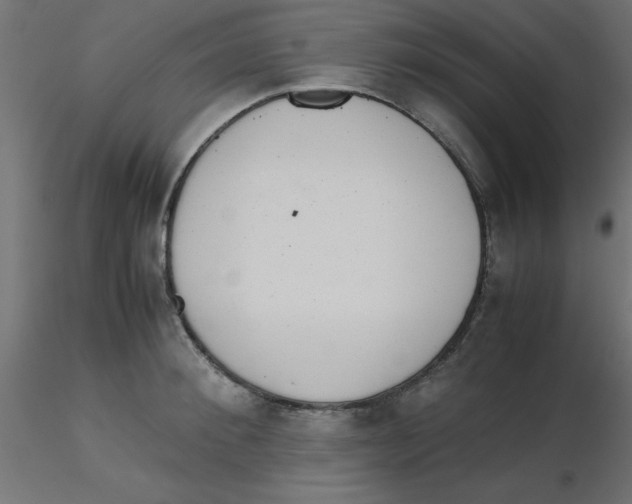 X0000116600900200912312054