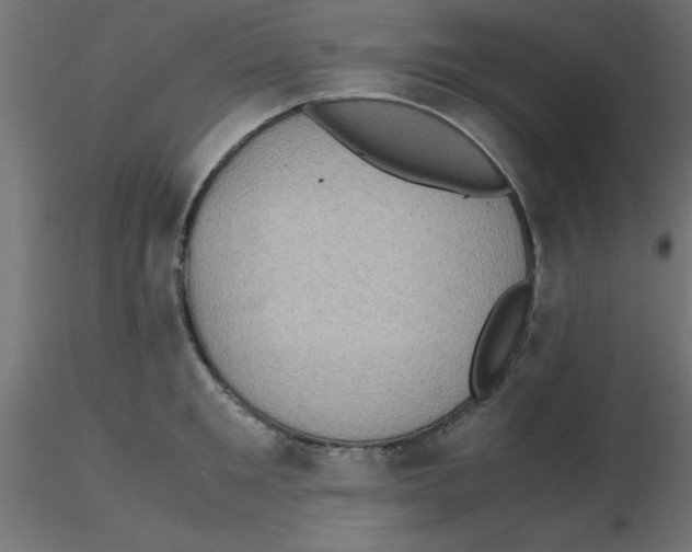 X0000116600901200912312054