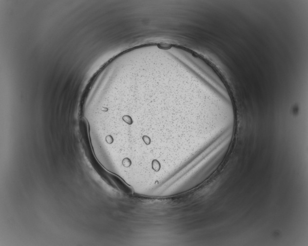 X0000116600902200912312054