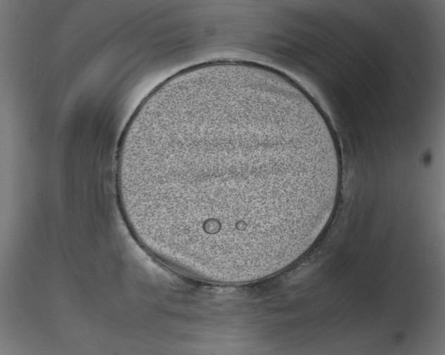 X0000116600903200912312054